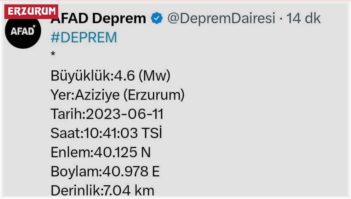 Erzurum 4,6 ile sallandı