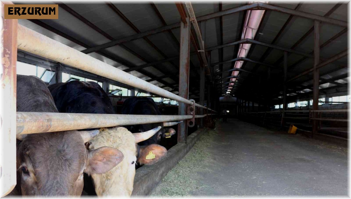 Erzurum'a 42 milyon hibe desteği