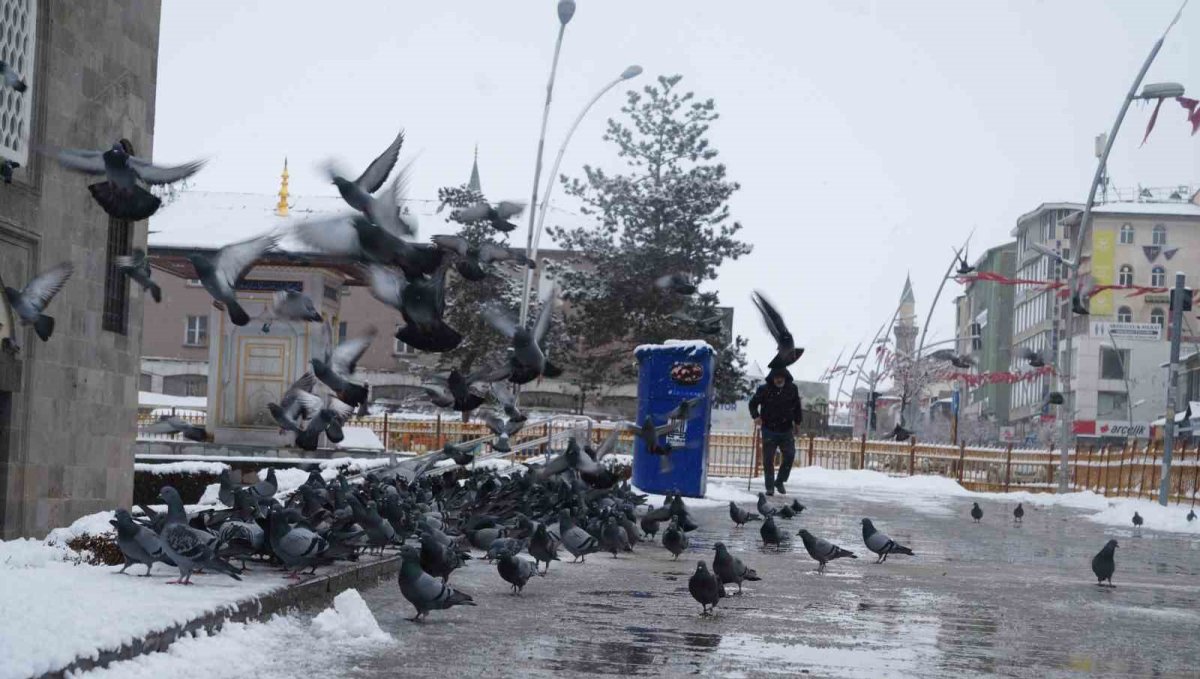 Erzurum'a kar geri geliyor
