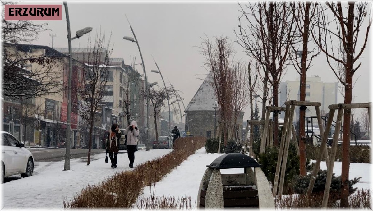 Erzurum beyaz örtüyle kaplandı