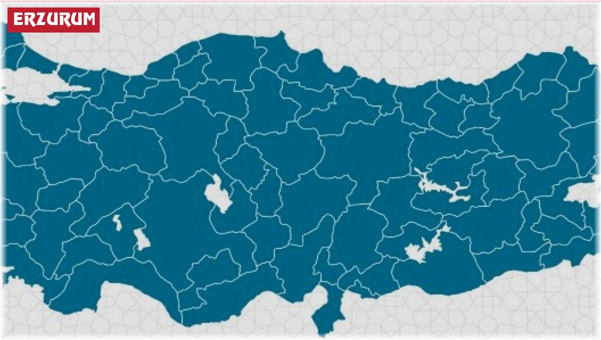 Erzurum Bölgede 2, ülkede 49'uncu sırada