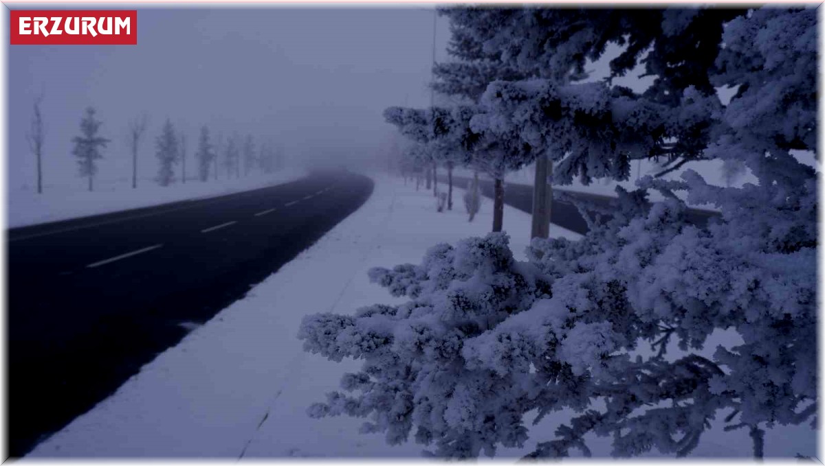 Erzurum buz kesti