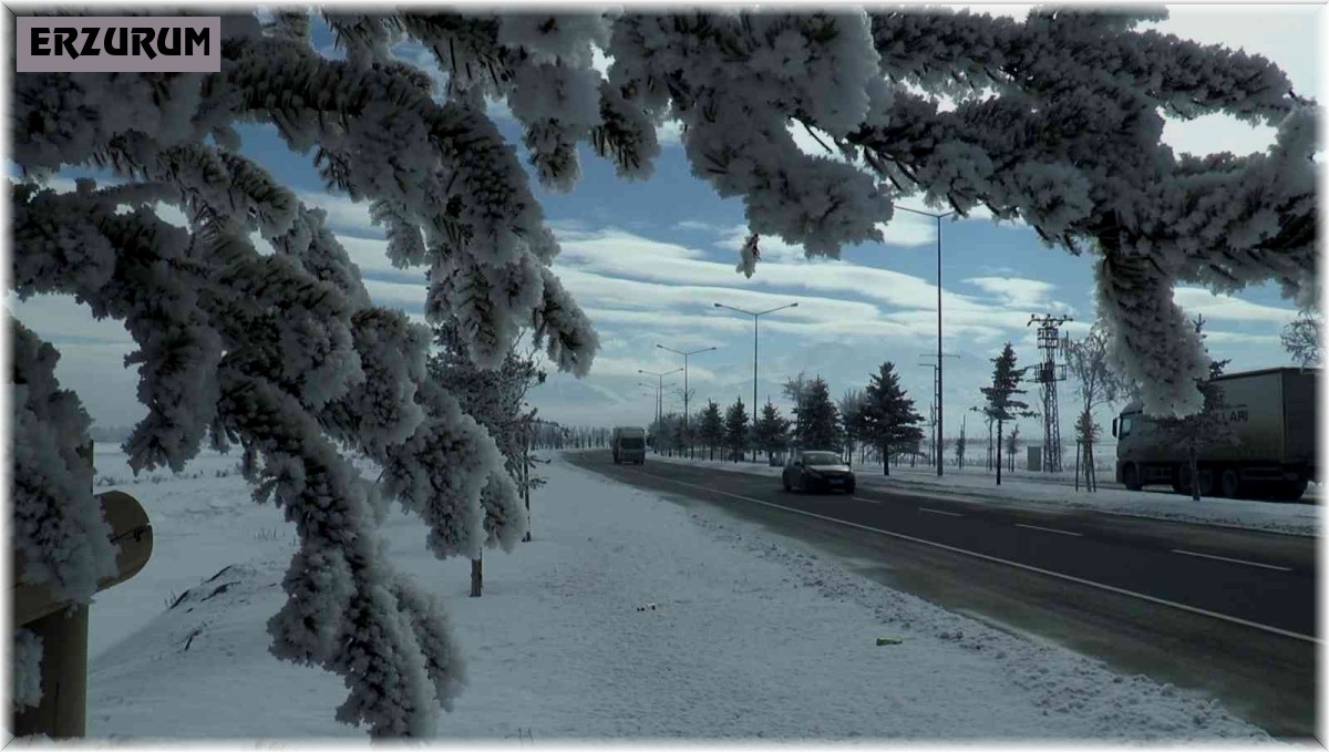 Erzurum buz kesti