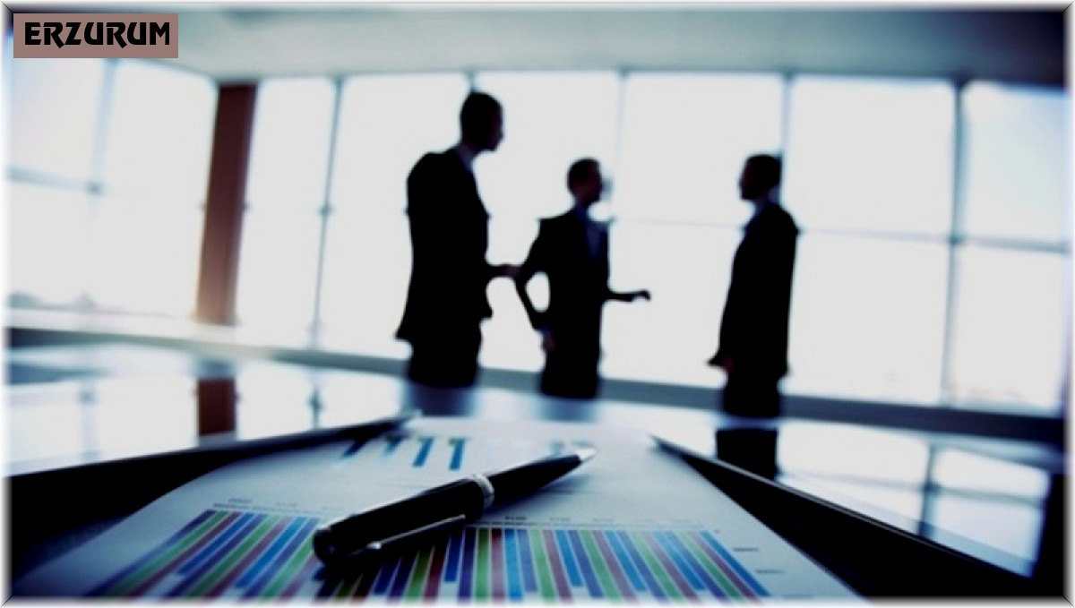 Erzurum'da 11 ayda 230 şirket kuruldu