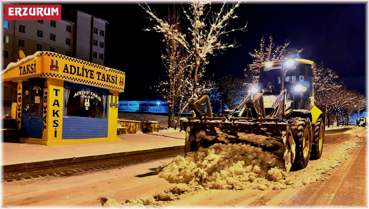 Erzurum'da 164 köyü kapalı, termometreler -13'ü gösterdi