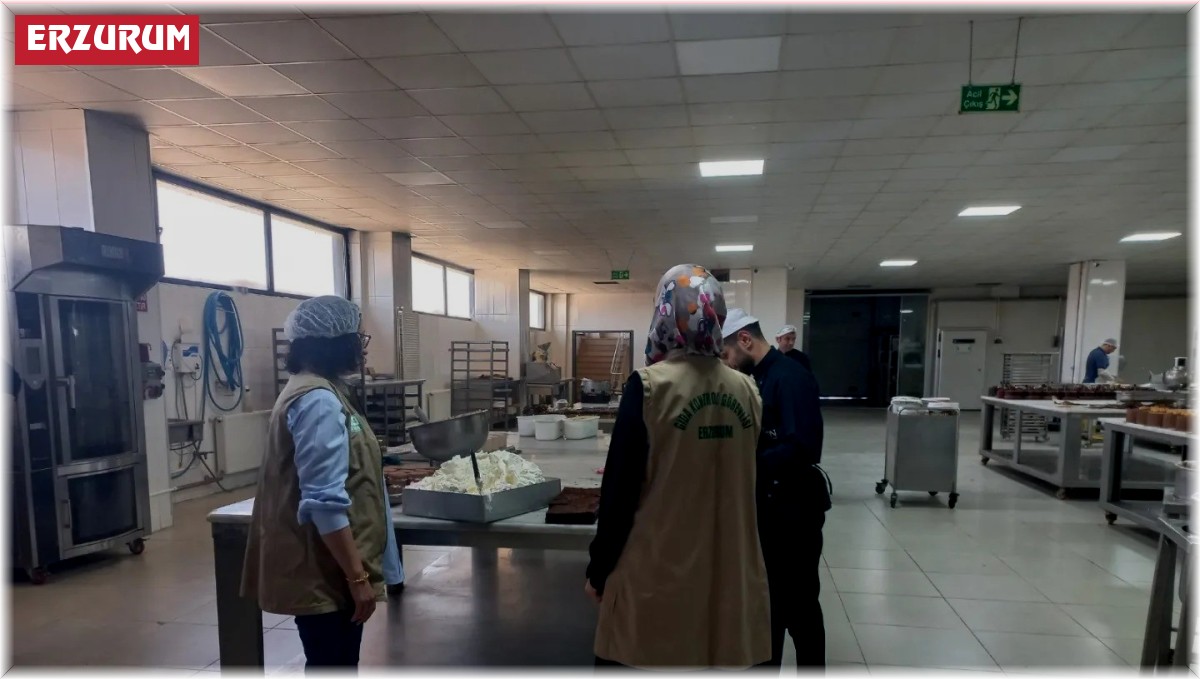 Erzurum'da 229 işletmeye denetim