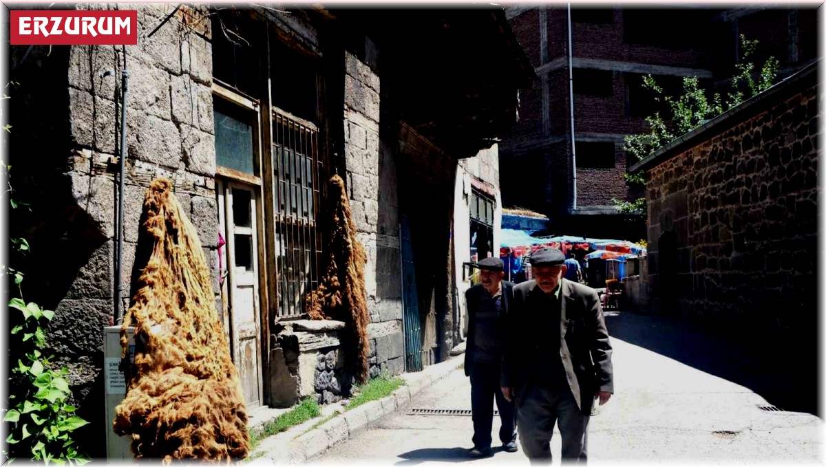 Erzurum'da 36 bin 630 kişi tek yaşıyor