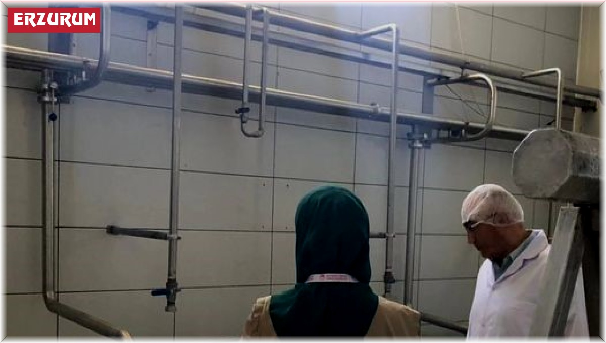 Erzurum'da 361 işletmeye denetim