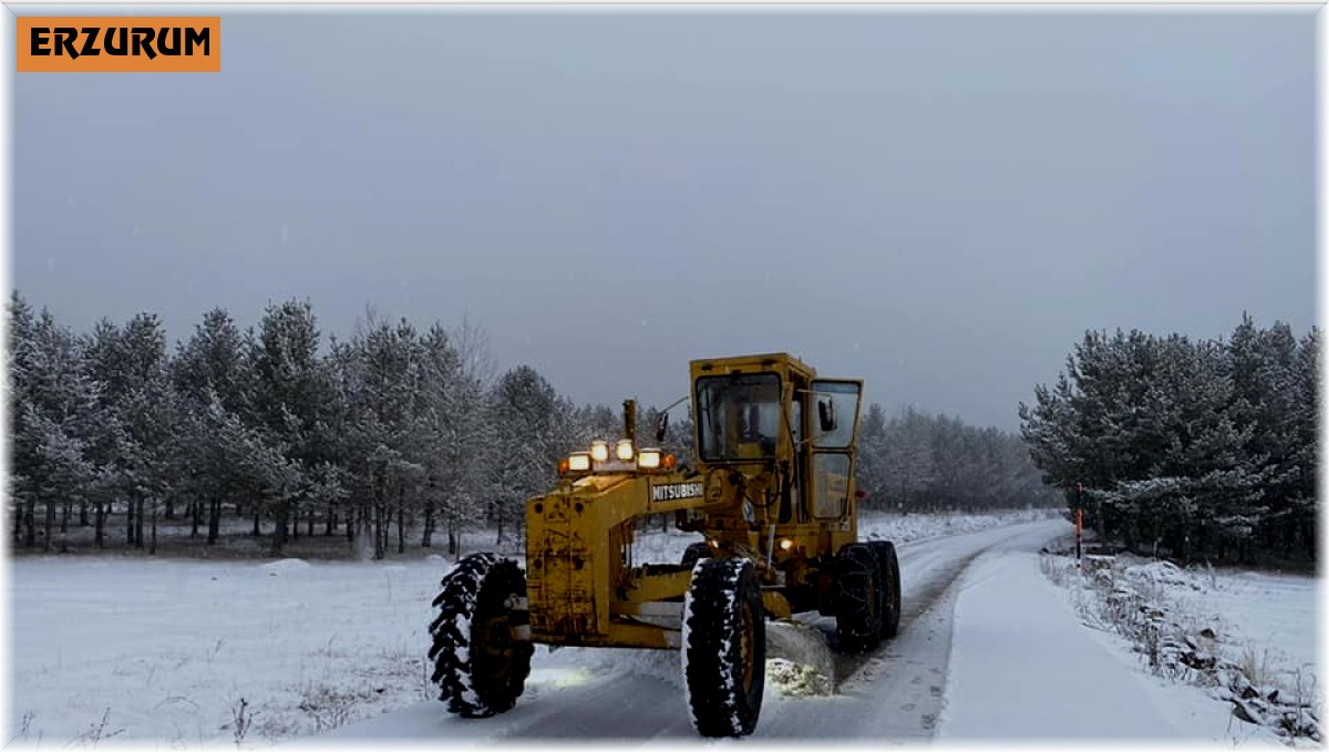 Erzurum'da 372 mahalleye ulaşım sağlanamıyor