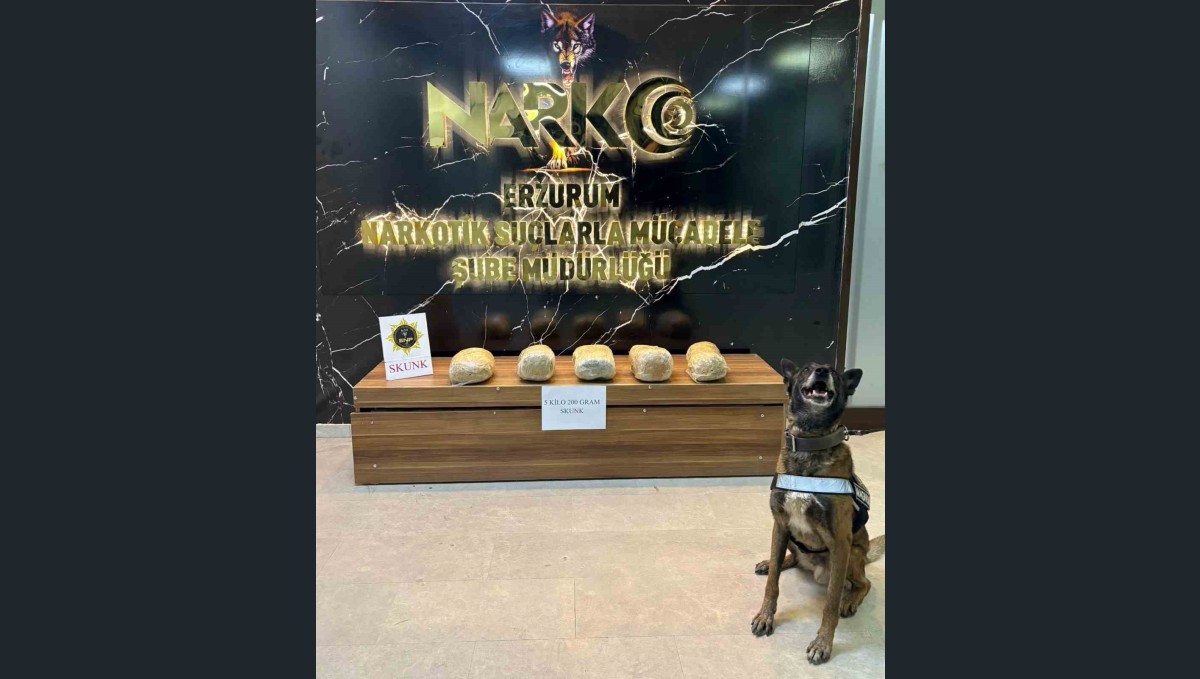 Erzurum'da 5 kilo 200 gram skunk maddesi ele geçirildi
