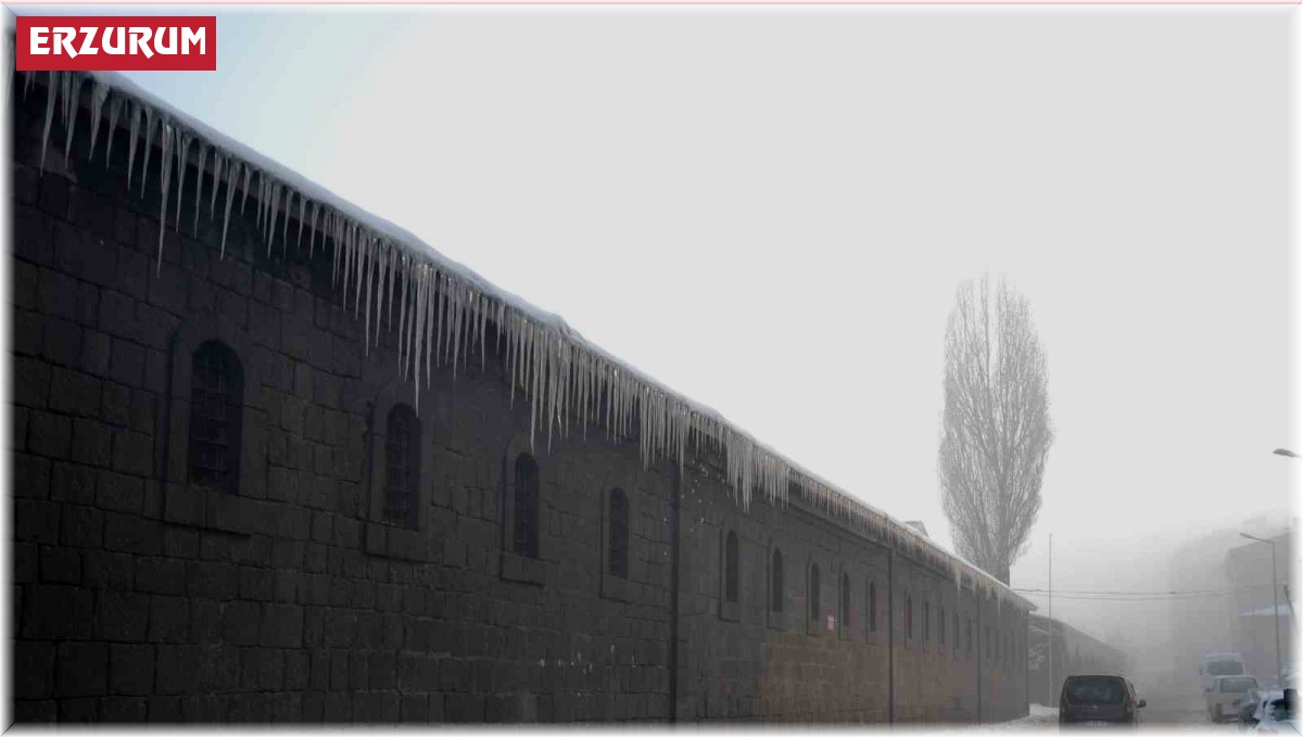 Erzurum'da 6 panoramik müze yapılacak