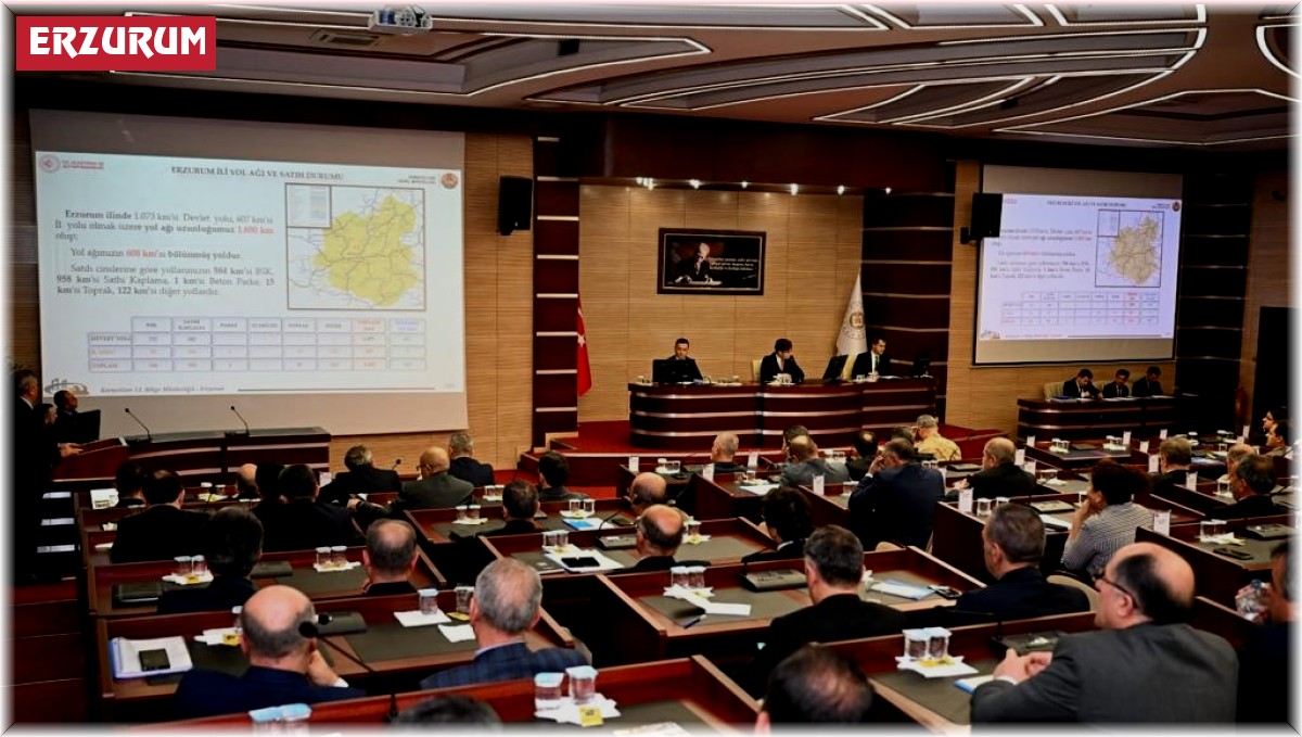 Erzurum'da 882 proje planladı, 312'si tamamlandı