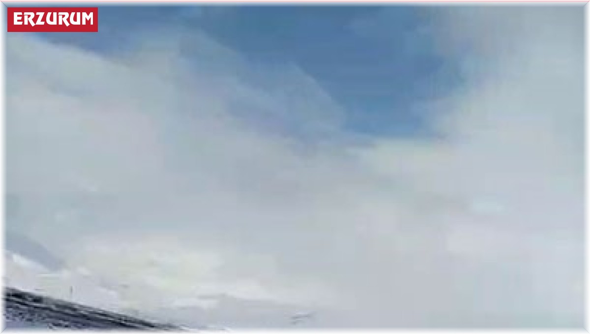 Erzurum'da aç kalan domuz sürüsü köye indi