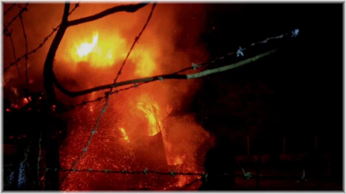 Erzurum'da alevler geceyi aydınlattı: 2 ev, 5 ahır ve 1 kiler kül oldu