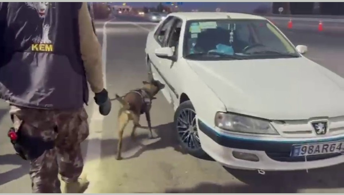 Erzurum'da araçta gizlenmiş uyuşturucuyu 'Magnum' buldu