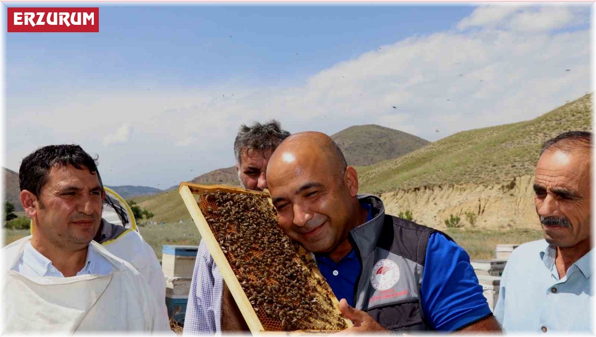 Erzurum'da arıcılara ana arı üretimi öğretildi