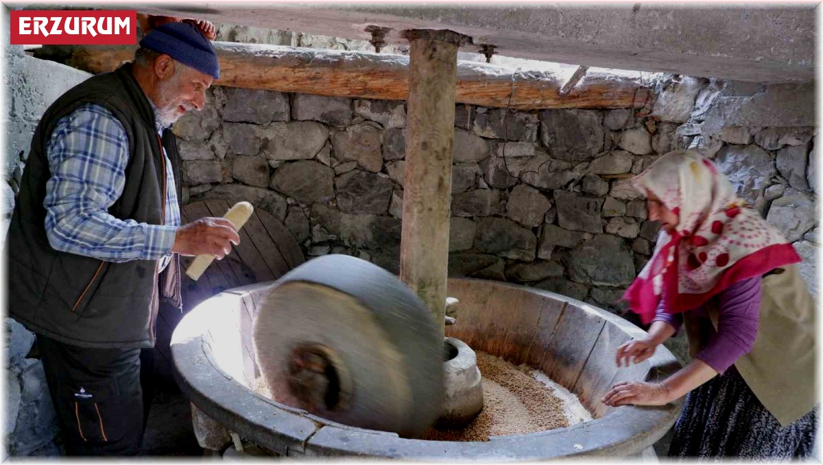 Erzurum'da baba yadigârı su değirmeni