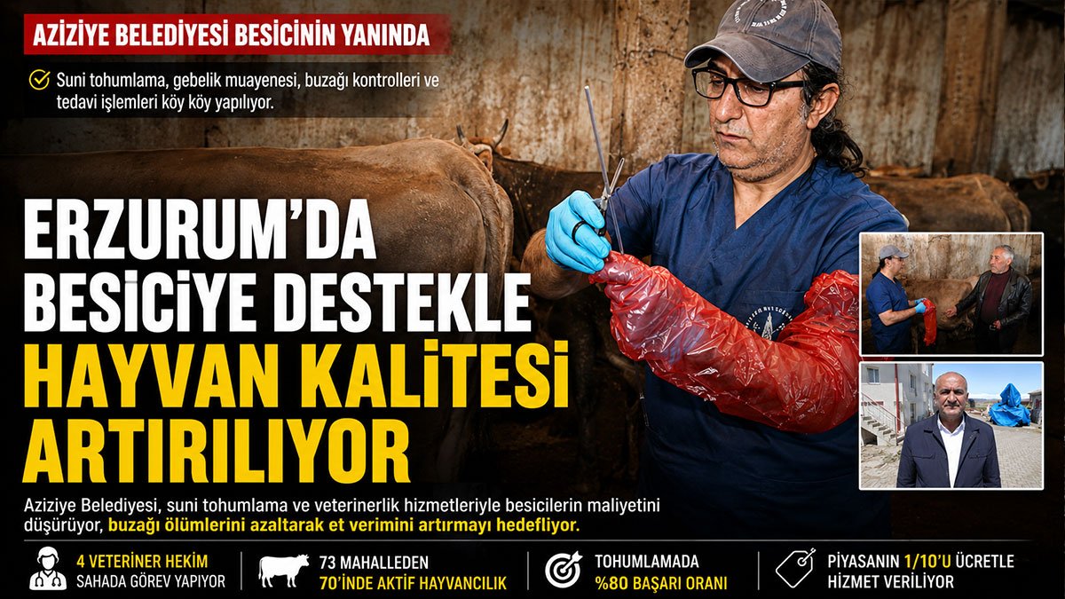 Erzurum'da besicilere 10'da biri fiyatına veteriner desteği