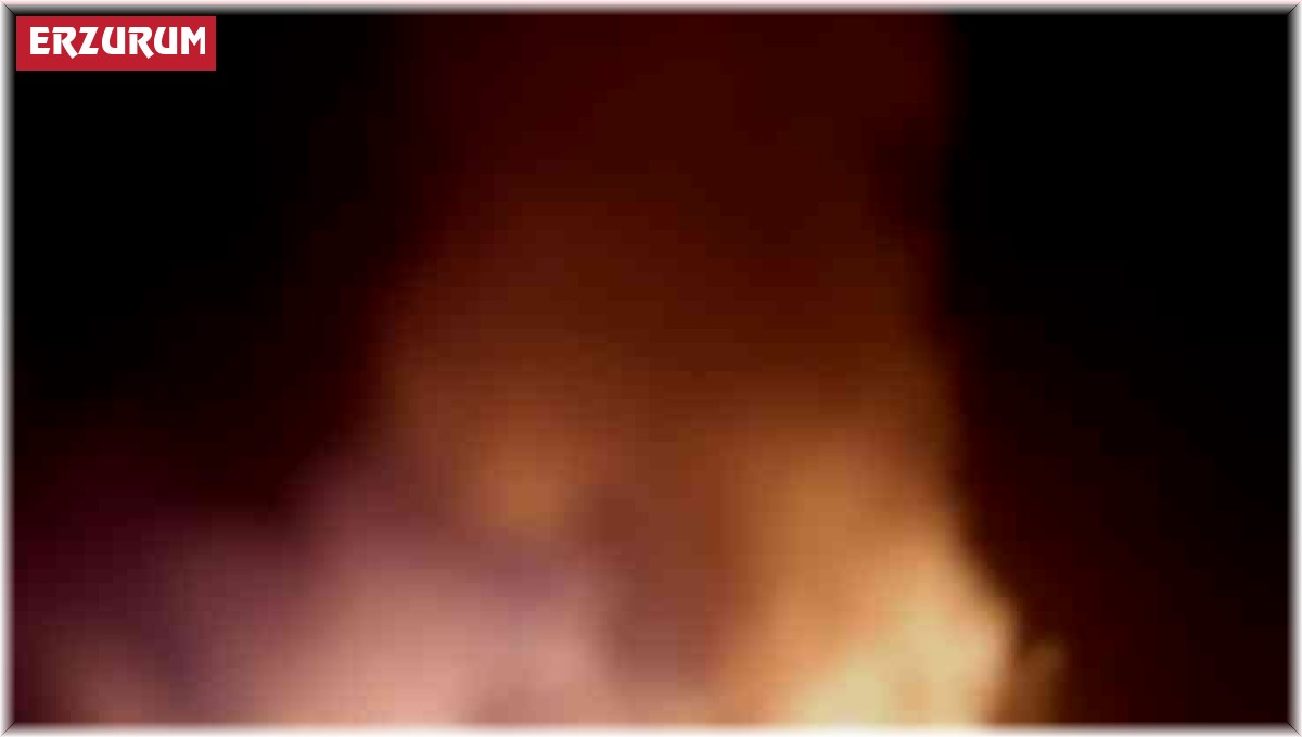 Erzurum'da bir ev alev alev yandı