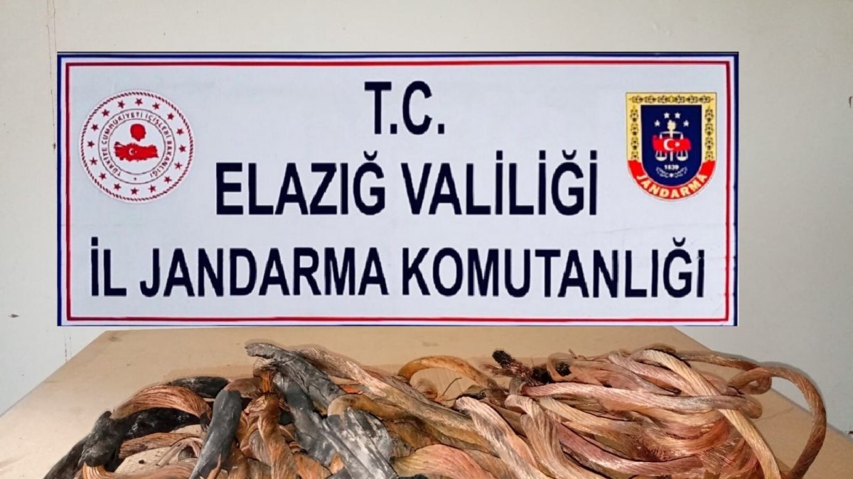 Erzurum'da çaldılar Elazığ'da yakalandılar