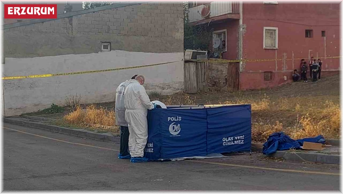 Erzurum'da çöp konteynerinde bebek cesedi bulundu