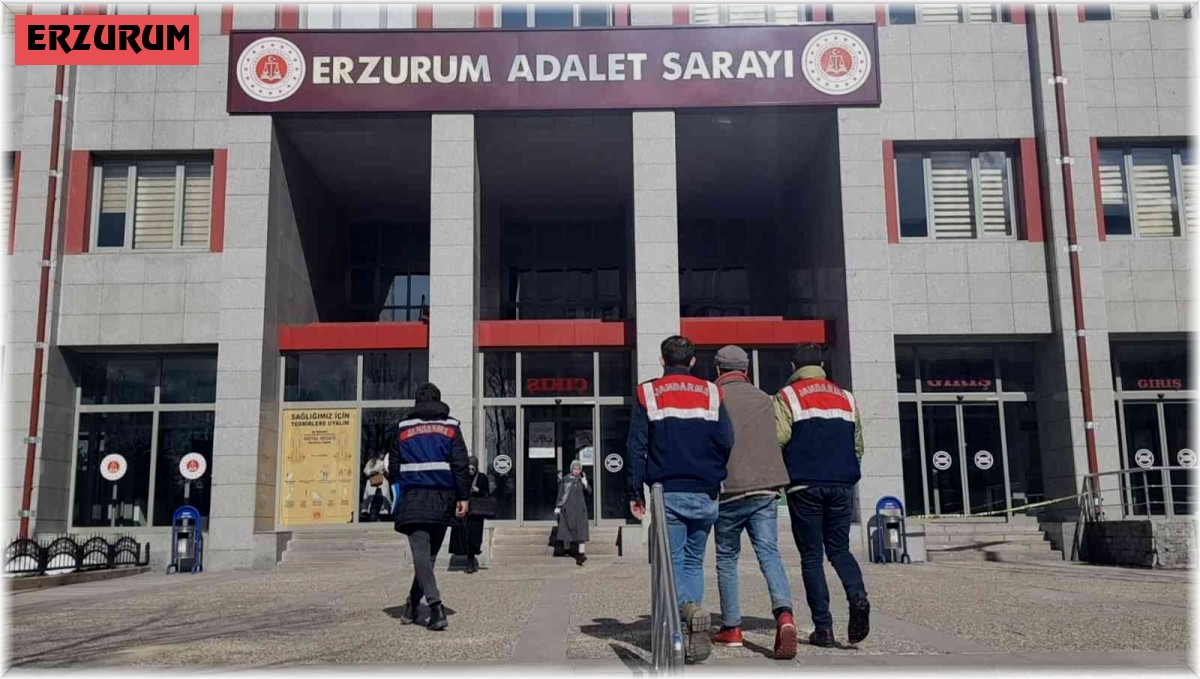 Erzurum'da DEAŞ operasyonu