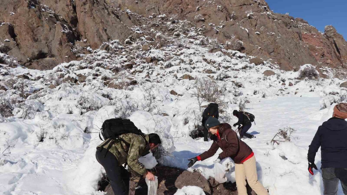 Erzurum'da doğaseverler soğuk havalarda keklikleri unutmadı
