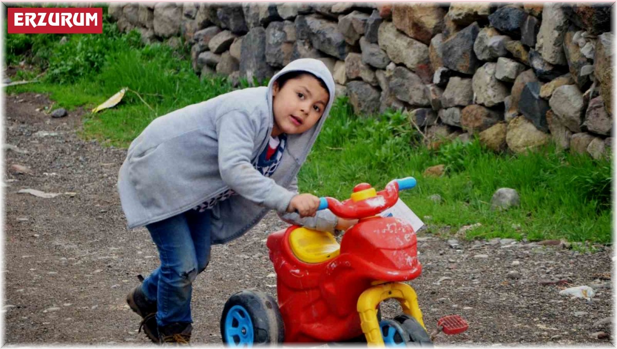 Erzurum'da doğurganlık hızı 1,68