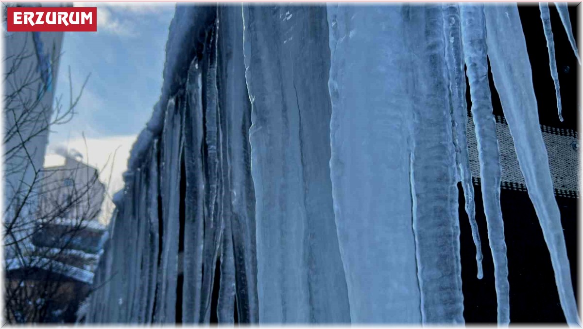 Erzurum'da dondurucu soğuklar etkili oluyor