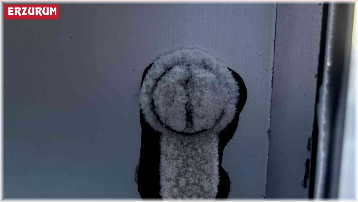 Erzurum'da dondurucu soğuklar etkili oluyor