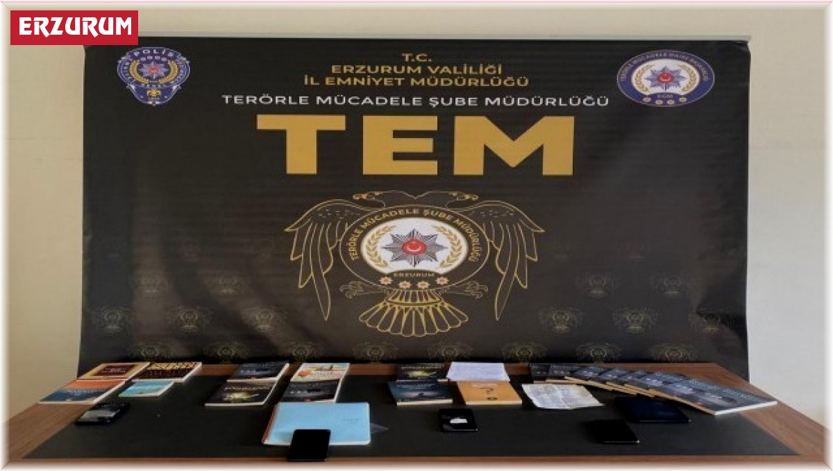 Erzurum'da FETÖ/DEAŞ/El Kaide terör örgütlerine yönelik operasyon: 12 gözaltı