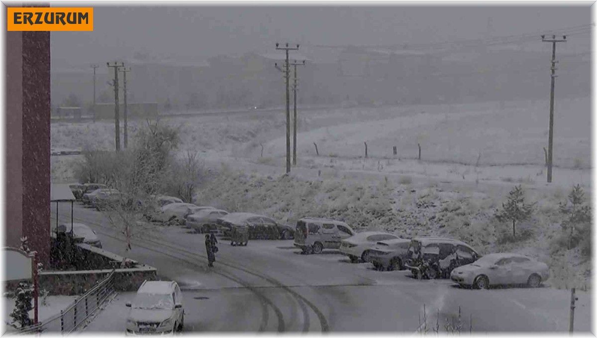 Erzurum'da gençlerin kartopu keyfi