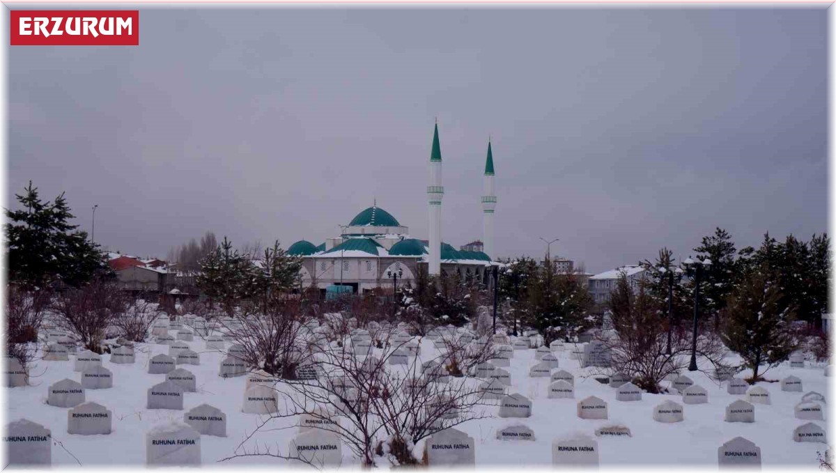 Erzurum'da hafta boyunca kar yağışı sürecek