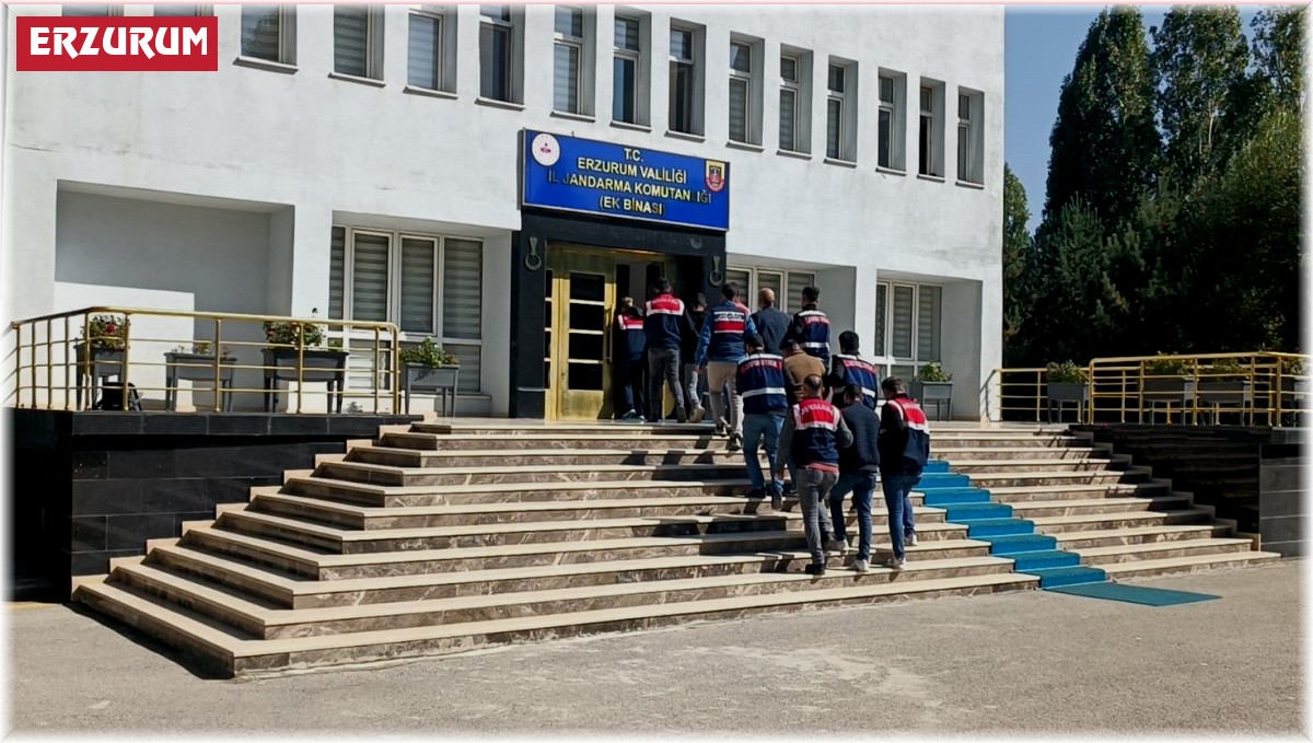 Erzurum'da jandarmadan PKK/KCK'ya yönelik eş zamanlı operasyon