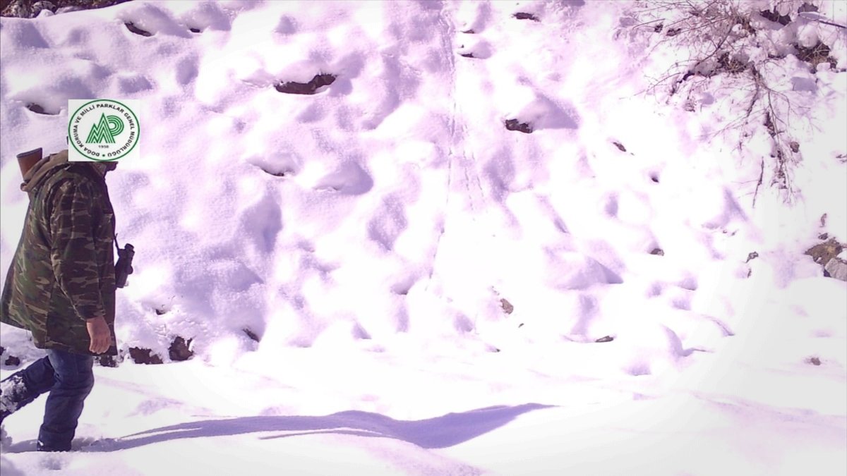 Erzurum'da kaçak av yaptığı fotokapanla belirlenen kişiye para cezası kesildi