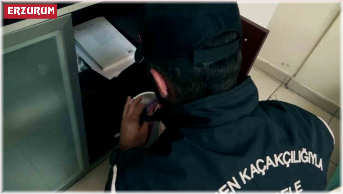 Erzurum'da kaçak göçmen operasyonu