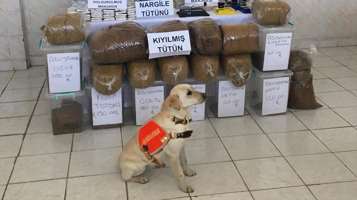 Erzurum'da kaçak tütün operasyonunda bir kişi yakalandı