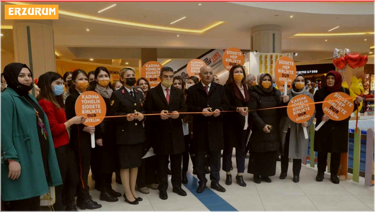 Erzurum'da kadına yönelik şiddete karşı uluslararası mücadele günü etkinlikleri