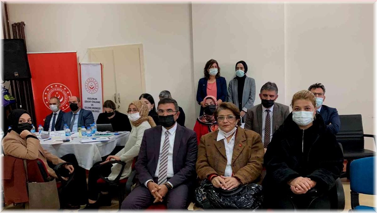 Erzurum'da 'Kadına Yönelik Şiddetle Mücadele İl Eylem Planı' çalıştayı