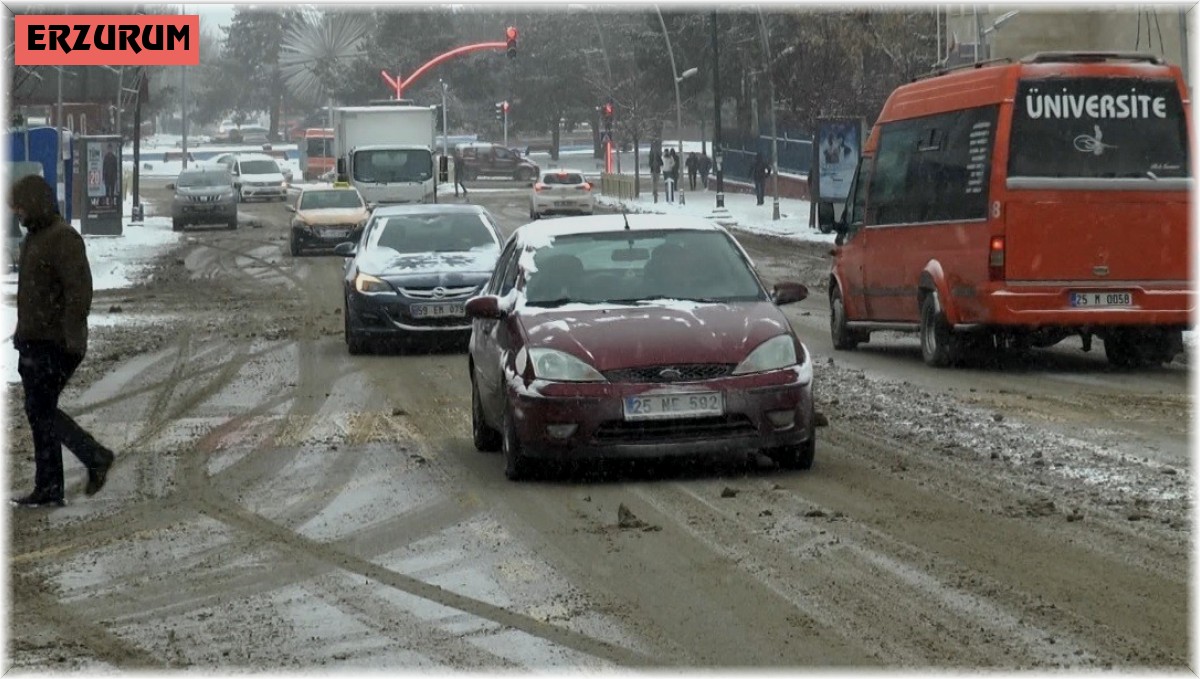 Erzurum'da kar hayatı felç etti