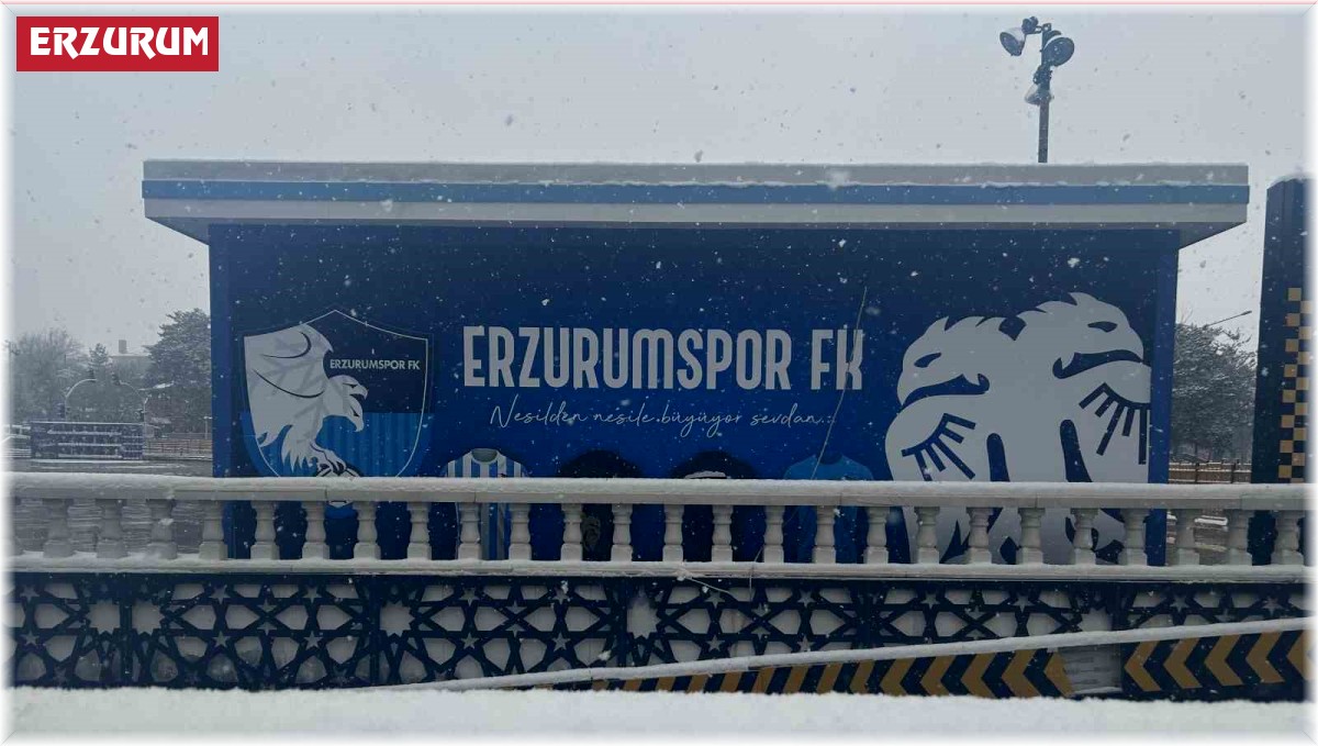 Erzurum'da kar yağışı çevreyi beyaza bürüdü