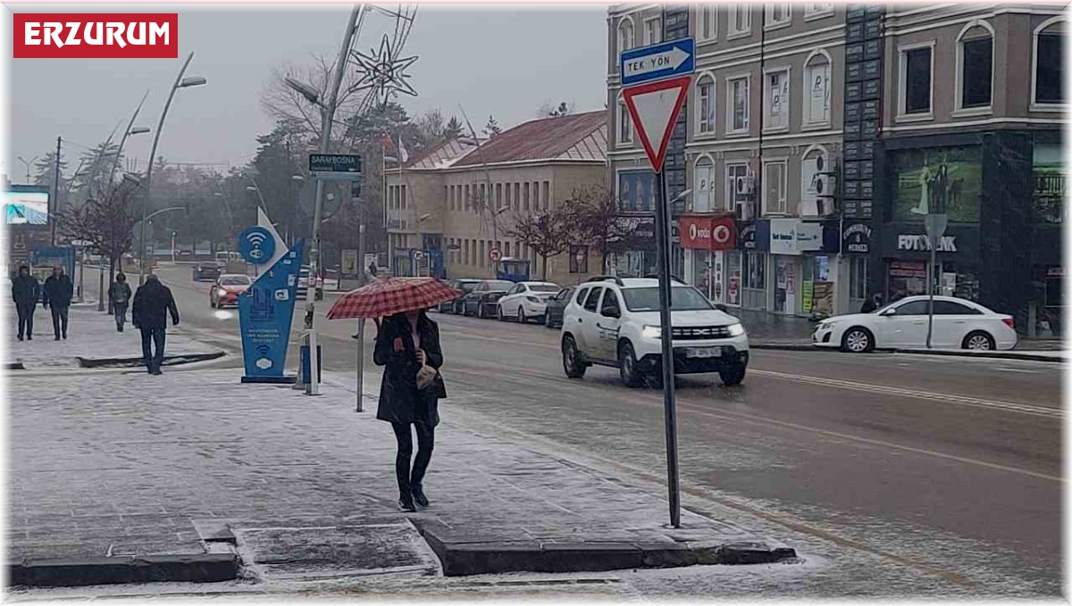 Erzurum'da kar yağışı etkili oluyor