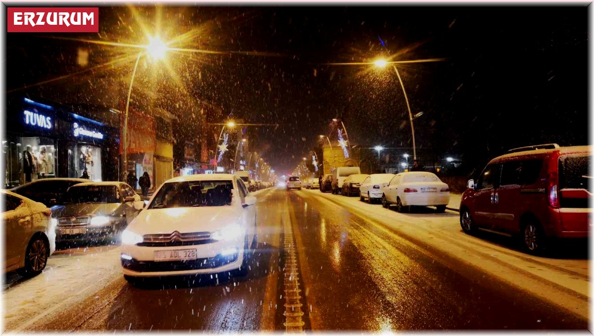 Erzurum'da kar yağışı etkili oluyor