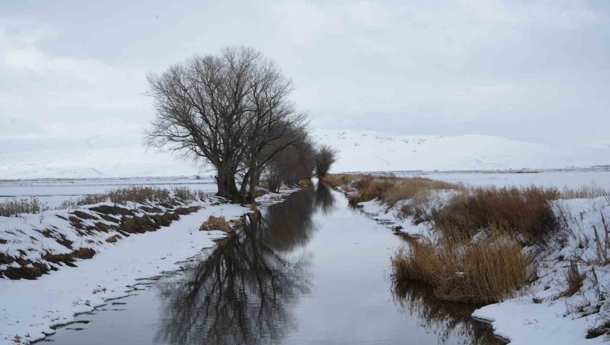 Erzurum'da kar yağışı etkili oluyor