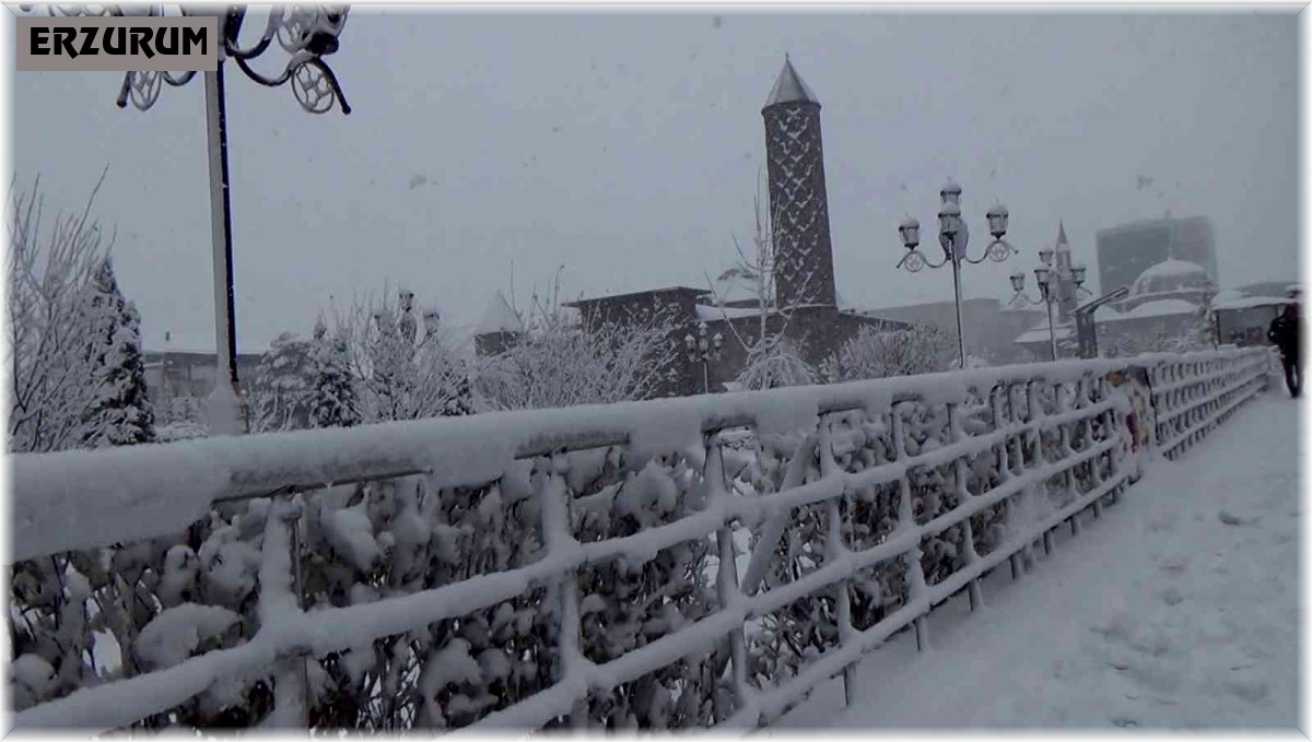 Erzurum'da kar yağışı görsel şölen oluşturdu