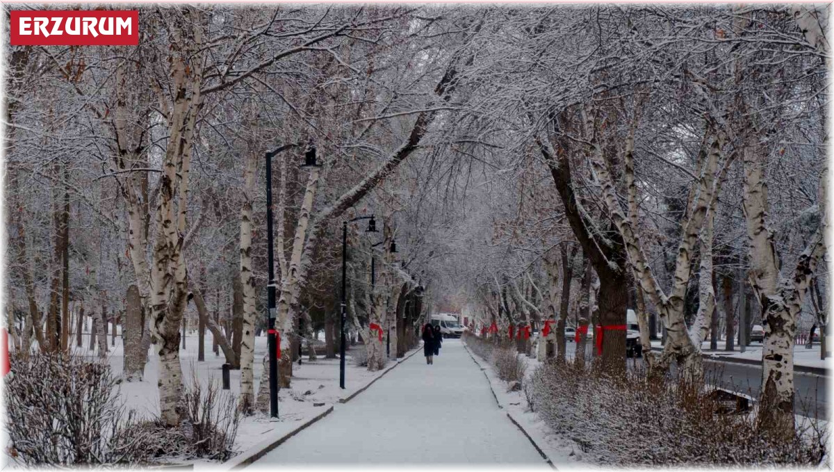 Erzurum'da kar yağışı şehri beyaza bürüdü