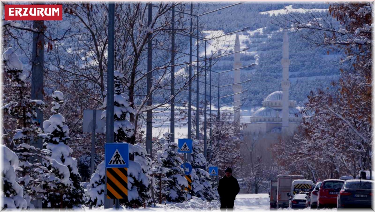 Erzurum'da kartpostallık manzaralar