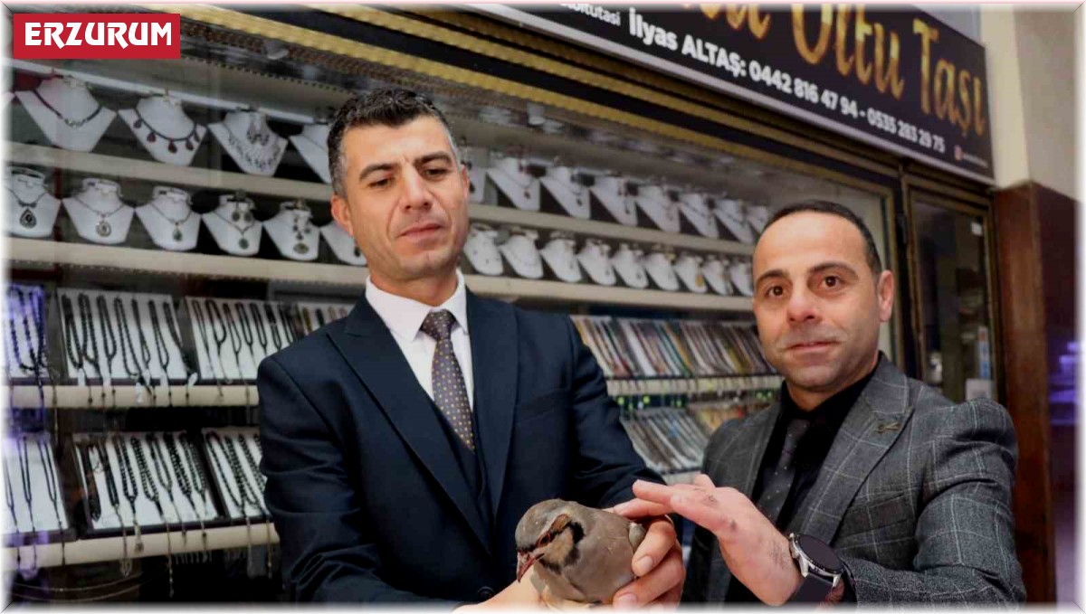 Erzurum'da kınalı kekliğe uzanan şefkatli eller