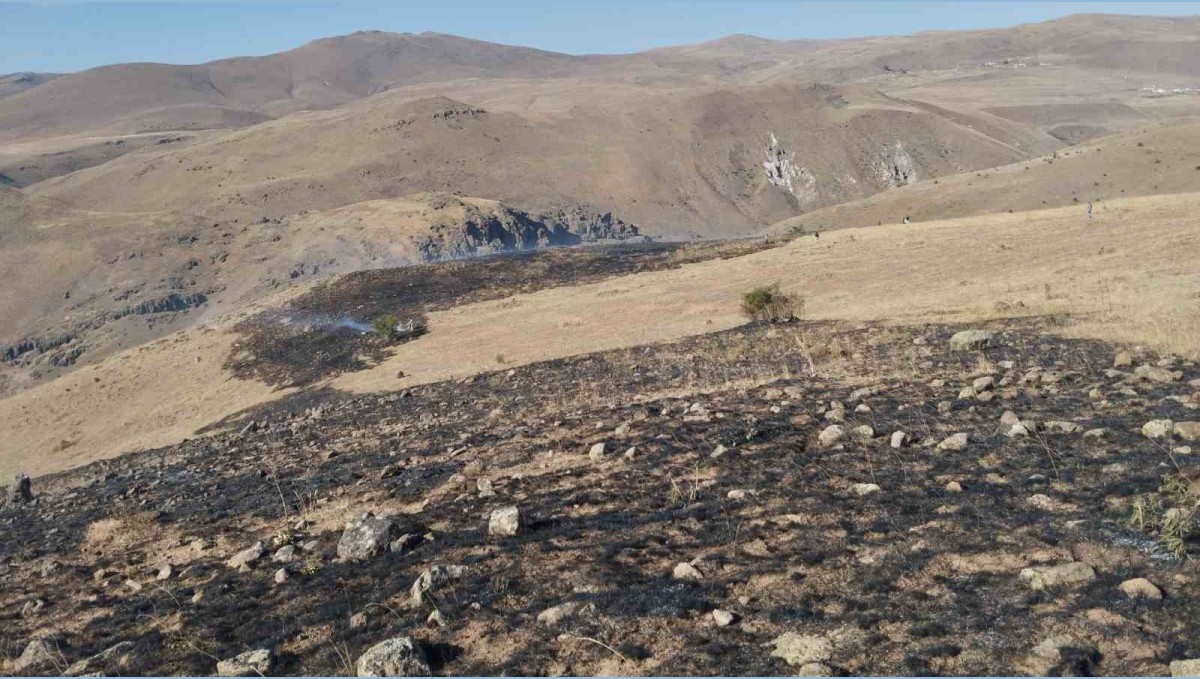 Erzurum'da korkutan ot yangını