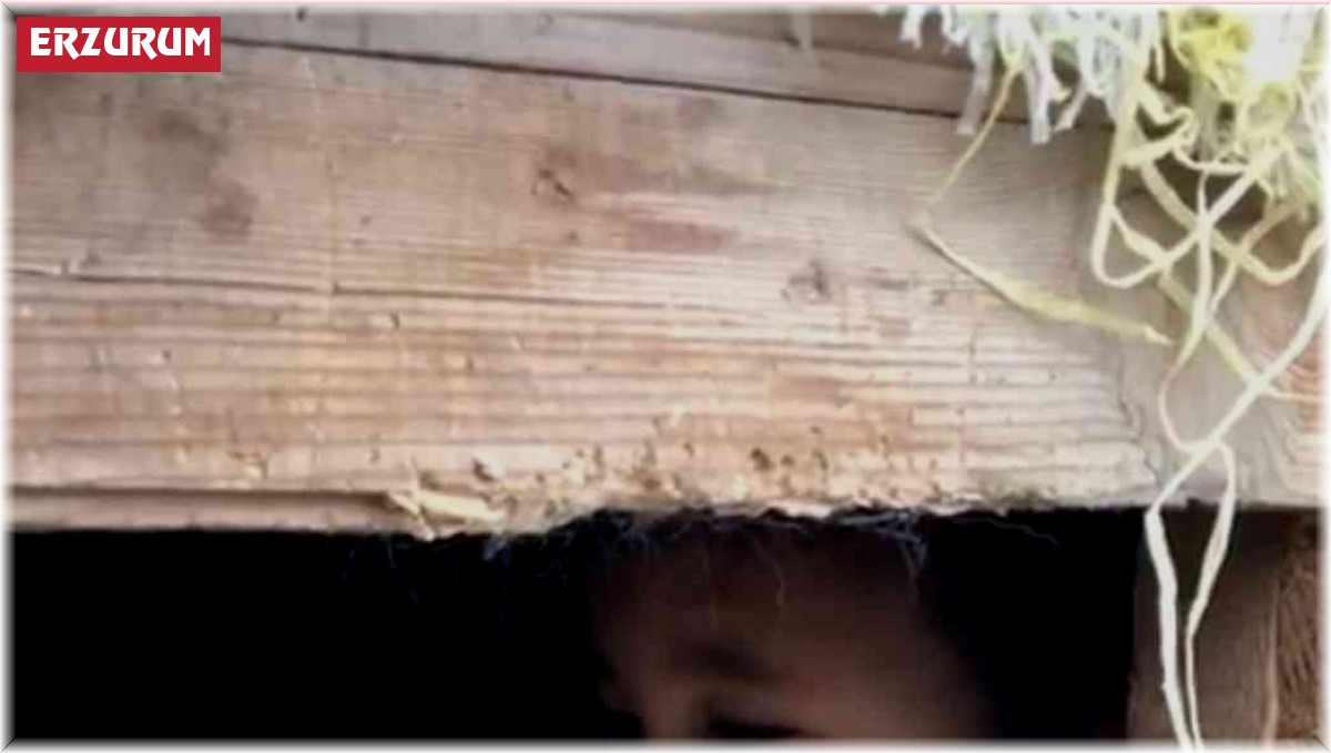 Erzurum'da küçük çocuğun köpek sevgisi görenleri gülümsetti